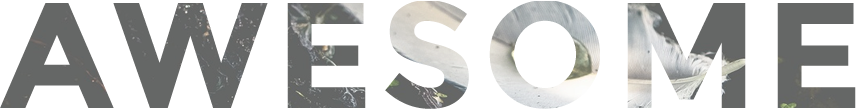 awesome1.png